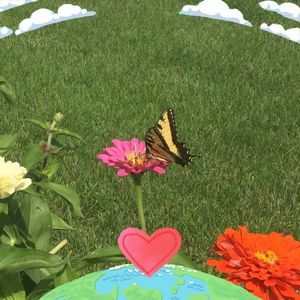 Meet your Posher, Mary